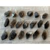1 Pcs of Natural Smoky Quartz Crystal Points, Raw Smoky Quartz Point (5) view 1