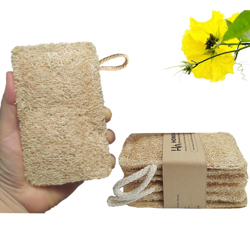 HONSVA Large Natural Dish Scrubber, Loofah Dishwashing Sponge (6 Pcs), No Scratch for Dish, Large Size 5.2"L*3.2"W, Loofah Plant Kitchen Eco-Scrubber, Zero Waste and Eco Friendly Sponges, Unbleached.