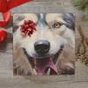 DNOVING 2 Rolls Sled dog Birthday Wrapping Paper - 58 x 23 inch Gift Wrapping Paper for Kids Birthday GWP-797561176 view 3