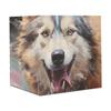 DNOVING 2 Rolls Sled dog Birthday Wrapping Paper - 58 x 23 inch Gift Wrapping Paper for Kids Birthday GWP-797561176 view 4