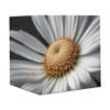 DNOVING 2 Rolls Realistic photograph Birthday Wrapping Paper - 58 x 23 inch Gift Wrapping Paper for Kids Birthday GWP-894374556 view 4