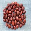 GAF TREASURES 1/2 LB Red Jasper Tumbled Stones, Polished Red Jasper Gemstone, Red Jasper Healing Crystals (Red Jasper) view 2