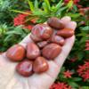 GAF TREASURES 1/2 LB Red Jasper Tumbled Stones, Polished Red Jasper Gemstone, Red Jasper Healing Crystals (Red Jasper) view 3