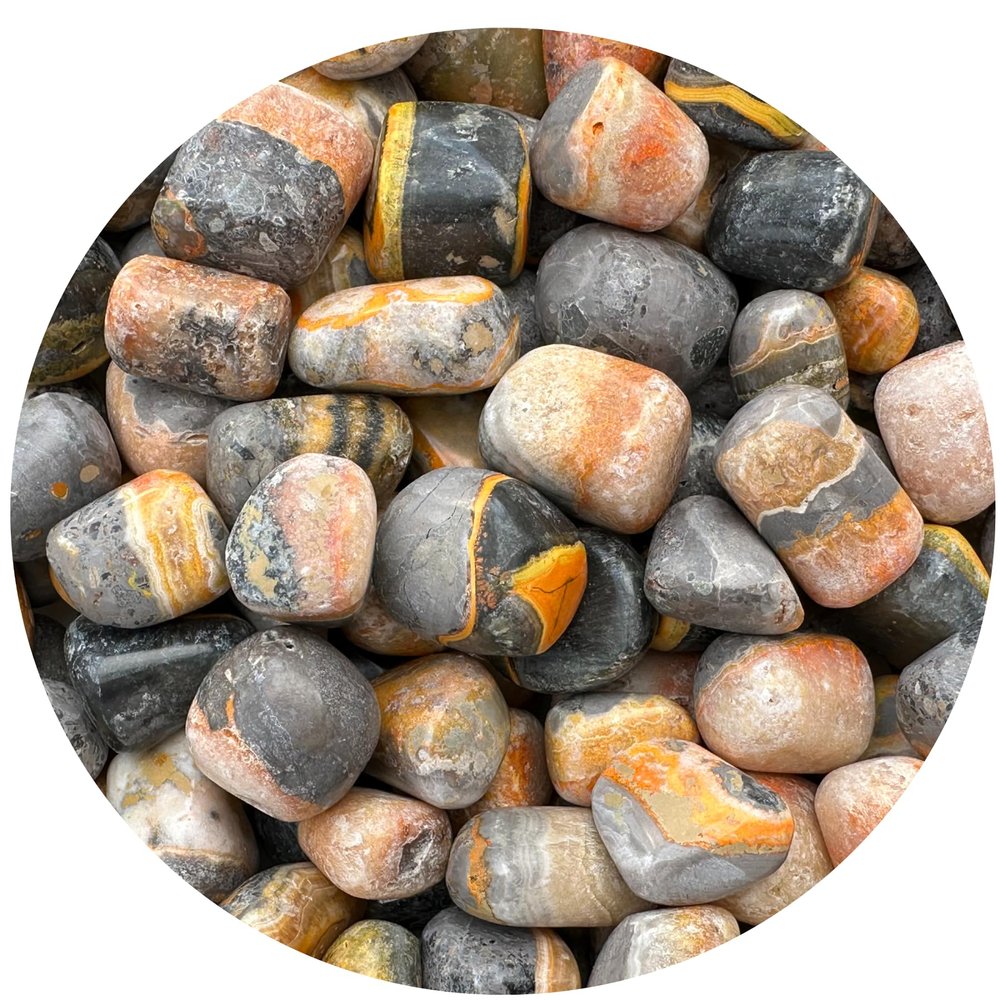 1/2 LB Bumble Bee Jasper Tumbled Stones, Polished Bumble Bee Jasper Gemstone, Bumble Bee Jasper Healing Crystals (Bumble Bee Jasper)