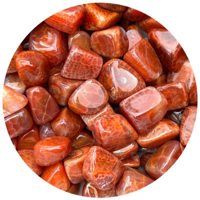1/2 LB Fire Agate Tumbled Stones, Polished Fire Agate Gemstone, Fire Agate Healing Crystals (Fire Agate)