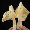 Bamboo Fungus, Dried Bamboo Fungus, Red Tofu Bamboo Fungus, Long Skirt Bamboo Fungus, Mushroom, Pot Soup Ingredients, Mushroom Soup, Edible Mushroomdry cargo Dried mushrooms (1 bag) view 3