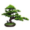 GRFIT Simulation Potted Plant Large Simulated Welcoming Pine Bonsai Decoration Pine Bonsai Living Room Indoor Artificial Bonsai Decoration Decorative Bonsai view 1