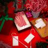 Zhanmai 121 Pcs Candy Cane Story Cards Religious Christmas Pens Gift Set view 4