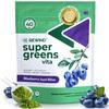 Best Tasting Super Greens Powder with 40+ Superfoods  Delicious Daily Green Powder with Vitamin B12, Zinc, Vitamin C, Magnesium & Calcium  Green Juice Superfood Mix - Blueberry Acai Flavor view 1
