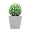 HOMSFOU Potted Cactus The Office Ornaments House Plants Indoors Indoor Planters Small Plant Pots Houseplant Bonsai Faux Cactus Bonsai Simulated Office Plant Decor view 1
