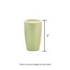 3 Stalk Live Lucky Bamboo Arrangement in Mini Color Ceramic Vase - Colorful Poterry, Indoor House Plants, Feng Shui, Lucky Plant, Houseplant (Lime) view 3
