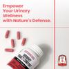 JUNG KWAN JANG Urinary Tract Comfort Formula with Pacran Cranberry 500mg, American Ginseng 143mg - Urinary Tract Health Support Supplement - 60 Capsules for Women and Men view 4