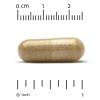 California Gold Nutrition Ultamins Men's 50+ Multivitamin with CoQ10, Mushrooms, Enzymes, Veggies & Berries, 60 Veggie Capsules view 3