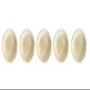 Yescarta Round Shape Bamboo Dinner Plates, Heavy Duty,Natural,Disposable, Eco Friendly Perfect for Parties, Weddings,Catering Events-PO5 (A_E_310777) view 1