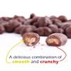 Platinum - Chocolate Coated Cashews 12 oz Resealable Pouch | Chocolate Candy Covered Flavored Cashew, Roasted Nuts | Individual Snack Packs for On the Go, Work, School, Valentines Day view 4