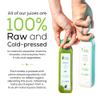 1 Day Juice Cleanse by Raw Fountain, Tropical Flavors, All Natural Raw, Cold Pressed Fruit and Vegetable Juices, Detox Cleanse, Kosher, Vegan, NO Sugar Added, 6 Bottles 12oz view 2