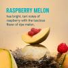 Liquid I.V. Hydration Multiplier Sugar-Free - Raspberry Melon | Electrolyte Powder Drink Mix | 1 Pack (14 Servings) view 2
