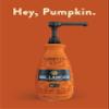 Hollander Pumpkin Pie Sauce | Made with Organic Pumpkin and Warm Spices | Net Wt. 91 oz.  64 fl. oz. | Pump Included view 2