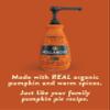 Hollander Pumpkin Pie Sauce | Made with Organic Pumpkin and Warm Spices | Net Wt. 91 oz.  64 fl. oz. | Pump Included view 4