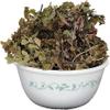 400 Grm - Pershosha - Adiantum Capillus - Veneris - Hanspadi - Hansraj Black Maiden - Hair Fern view 1