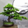 AOKLEY Artificial Bonsai Large Simulated Welcoming Pine Bonsai Decoration Pine Bonsai Living Room Indoor Artificial Bonsai Decoration for Home Office view 2