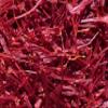 Zafraan Saffron - Premium Saffron from Afghanistan - Super Negin Grade A - 2g - 100% Pure Hand-Picked Red Threads for Tea, Cooking, Baking and Desserts view 3