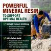6,500mg Shilajit Supplement with 40% Fulvic Acid (High Absorption) | Shilajit Mineral Supplement with 85+ Trace Minerals for Energy, Performance & Immune Health - 120 Capsules view 4