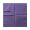 100 Pack Cocktail Napkin 2-Ply Dessert Napkins Folded 5 x 5 Inches Disposable Napkins for Dinner Wedding Birthday Party Bridal Anniversary Reception Event (100, Purple) view 3