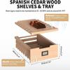 NEEDONE Electric Cooler Humidor 16L, Large Cabinet for 100 Counts with Spanish Cedar Wood Shelves & Drawer with Hygrometer, Quiet Operation, LED Lighting, Cooling Function, Gift for Men view 3