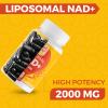 Cuerpo Sano 2000 MG NAD Supplement, Liposomal NAD+ with High Absorption, More Efficient Than Nicotinamide Riboside, Pure & Plus Boosting Supplement, Aging Defense, Metabolism & Cellular, 60 softgels view 3