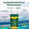 Biogenesis SuperGreens Plus Tablets  300 Count (200 mg) | Unflavored | Organic Chlorella, Wheatgrass & Barley Grass | Australian Grown | Supports Energy & Immunity | Vegan Mini Talets view 2