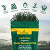 Biogenesis SuperGreens Plus Tablets  300 Count (200 mg) | Unflavored | Organic Chlorella, Wheatgrass & Barley Grass | Australian Grown | Supports Energy & Immunity | Vegan Mini Talets view 3