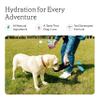 Rallie Chicken Flavored Hydrogen Water for Dogs with Electrolytes Glucosamine and B Vitamins, 16.9oz 6 Pack, Dog Liquid Multivitamins Supplement for Hydration and Joint Support, For Puppies to Large Breeds view 3