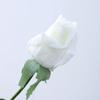 MJKO Orchid Laurel Artificial Flower view 1