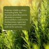 Pure Body Naturals - 100% Pure Rosemary Essential Oil, Steam-Distilled for Aromatherapy, Scalp Massage & DIY Blends, 4 fl oz view 2