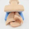 CHROX PVC Electronic Intubation Manikin, Airway Management Trainer Intubation Manikin Study Tracheal Simulator for Teaching Education School Home Learning view 3