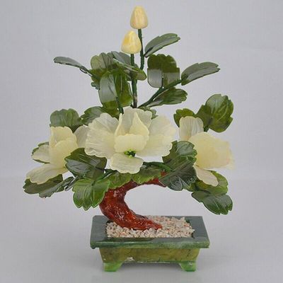 YTDJJWLS Chinese Natural Jade White Peony Flower Bonsai Tree Flowering Feng Shui Decor