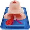 CHROX Infant Intubation Manikin - PVC Teaching Model - Tracheal Intubation Training Simulator, for Airway Management view 2