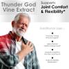 AMALTH Thunder God Vine Root 20:1 Supplement  Tripterygium Wilfordii Herbal Supplement  500 mg Capsules with Lei Gong Teng Extract with Triptolide  120 Capsules view 4