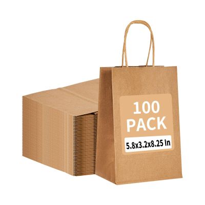 100 Pack 5.8x3.2x8.25 Inch Brown Kraft Paper Gift Bags with Handles - Bulk Small Plain Natural Bags for Birthday Party Favors, Grocery, Retail Shopping, Wedding, Craft, Goody, Takeouts, and Business