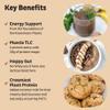 KOS Organic Plant Based Protein Powder, Chocolate Peanut Butter - Delicious Vegan Protein Powder Meal Replacement - Keto Friendly, Gluten Free, Dairy Free & Soy Free - 2.4 lbs, 28 Servings view 3