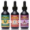 Life Cykel Professional Athletes Pack - Reishi, Lion's Mane & Cordyceps Mushroom Extract- Full-Spectrum Mushroom Tincture for Energy, Focus and Immune Health- Vegan, Non-GMO Formula view 1