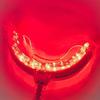 Red Light for Gums  Gum Health & Gum Care  32 Red LEDs for Gums and Teeth  USB-C, USB & Lightning-Compatible Adapters Included  Gum Red Light by Starlite Smile view 2