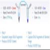 MagVigen Extended (Long Read) DNA Size Selection kit (5mL) view 2