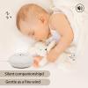 Travel Sized Portable Mini Diffuser for Essential Oils Multifunction Waterless No Sound Mini Aromatherapy Diffuser for Bedroom Office Baby Room Car Aromatherapy view 2