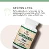 Ashwagandha Capsules, 120 Count (500mg Extract 20:1 Potency) Adaptogen Stress Relief by Double Wood view 4