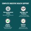 UpNourish Probiotics - 200 Billion CFUs for Men and Women, 15 Clinically Studied Strains, Prebiotics & Enzymes - 60 Vegan Capsules view 2