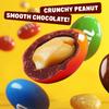 Peanut Milk Chocolate Candy 1 lb  Bulk Bag, Individually Wrapped Fun Size Packs (24 Pieces) view 3