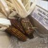 Circle Bar J Ranch Indian Corn Small view 3