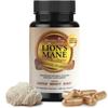 Healthy Day Supplements Lions Mane Mushroom Cognition Capsules - 120 Count | Organic, Gluten Free, Alpha Brain Supplement for Adults | Brain Vitamins & Focus Nootropic | Made in USA view 1